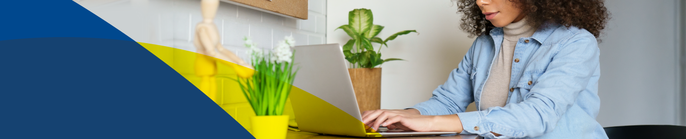 V&iacute;deos e webinars